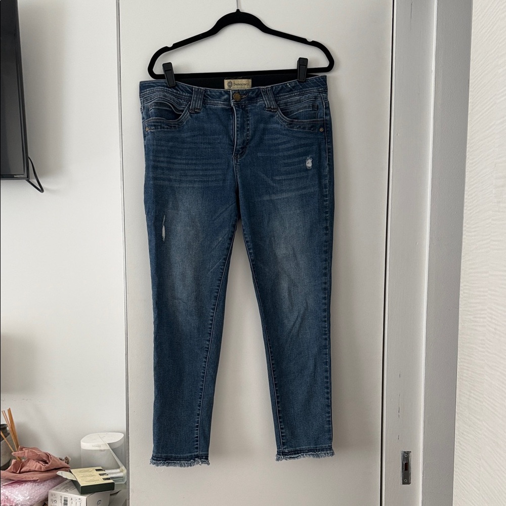 Democracy an technology distressed skinny jeans - Picture 1 of 6